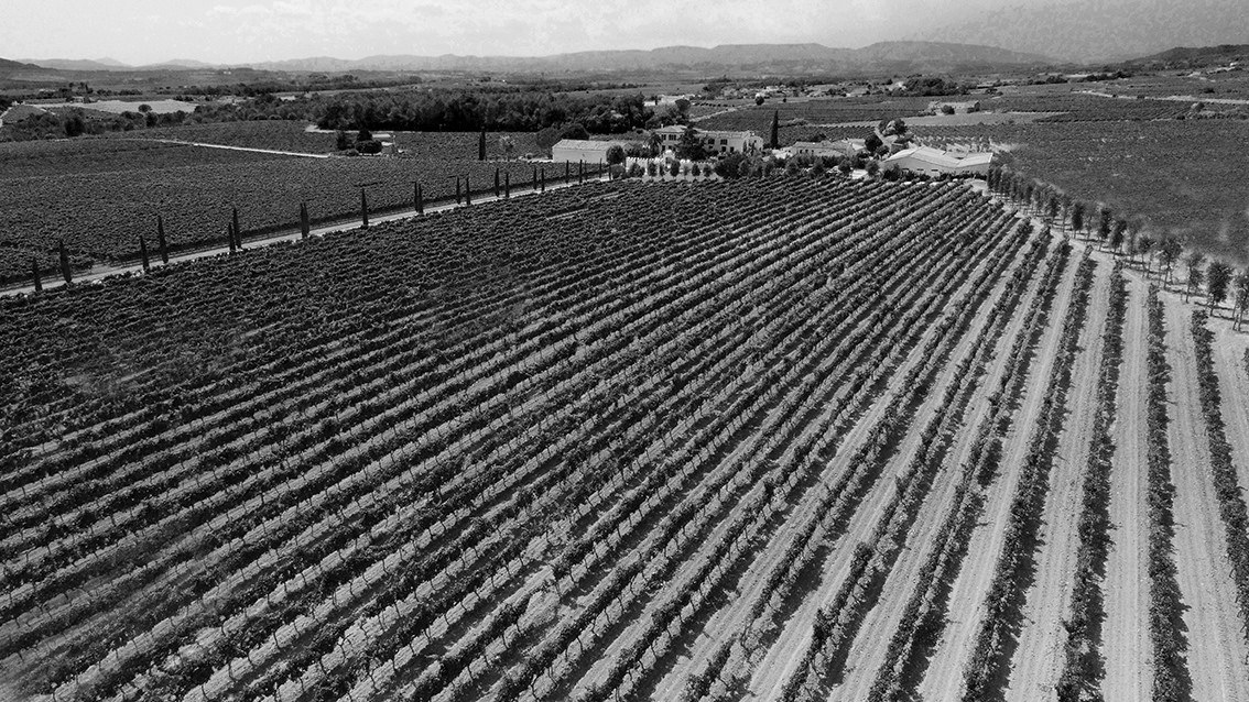 Pere Ventura Cava