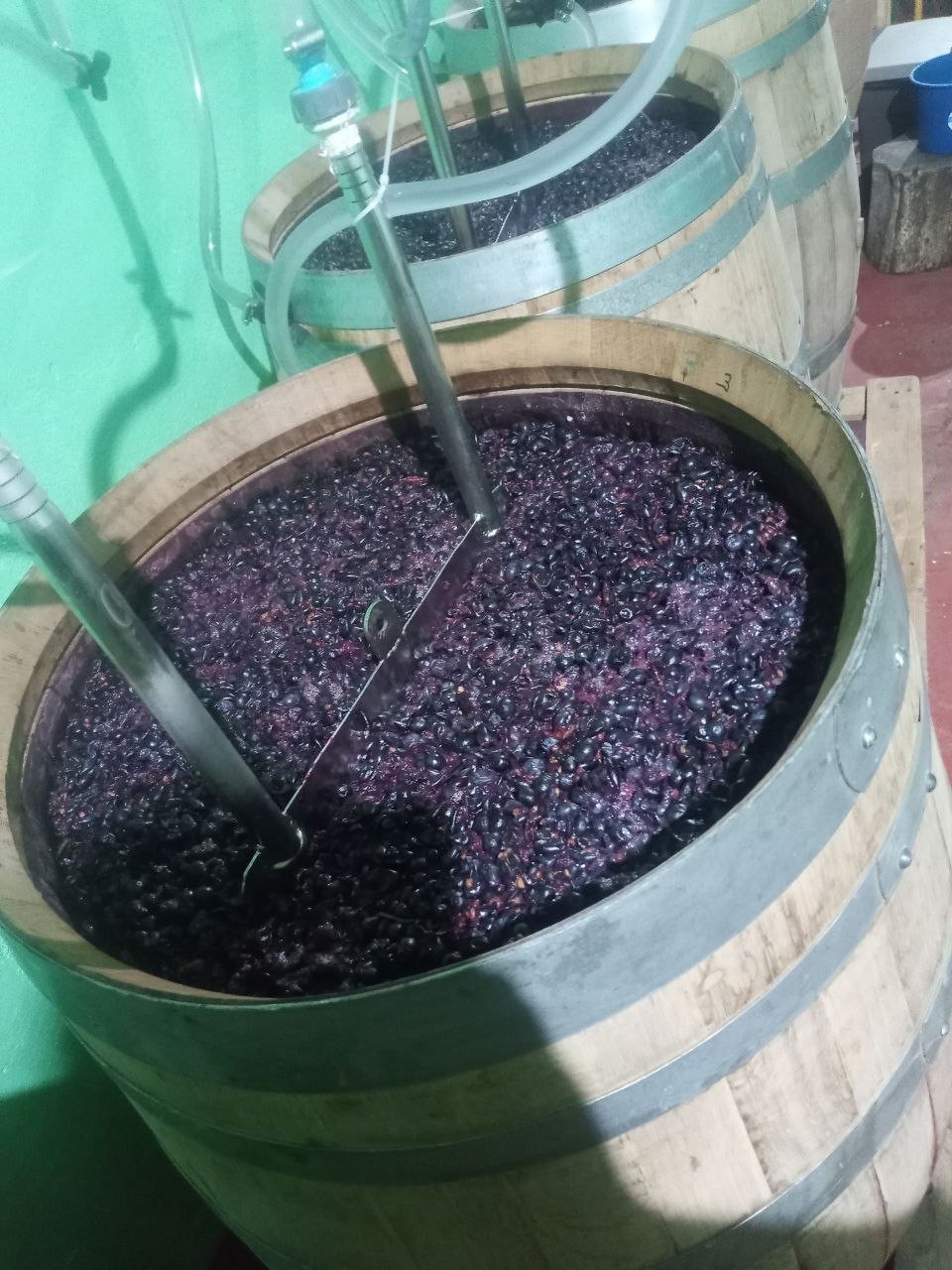 Bodegas Locuaz