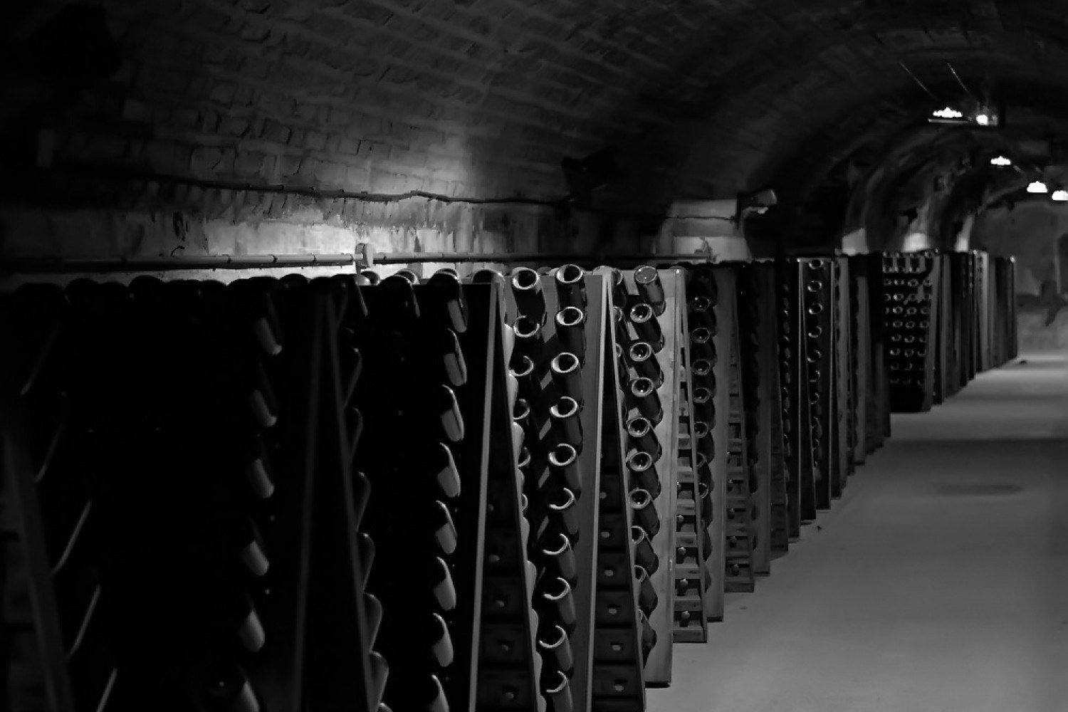 Bodegas Via de la Plata