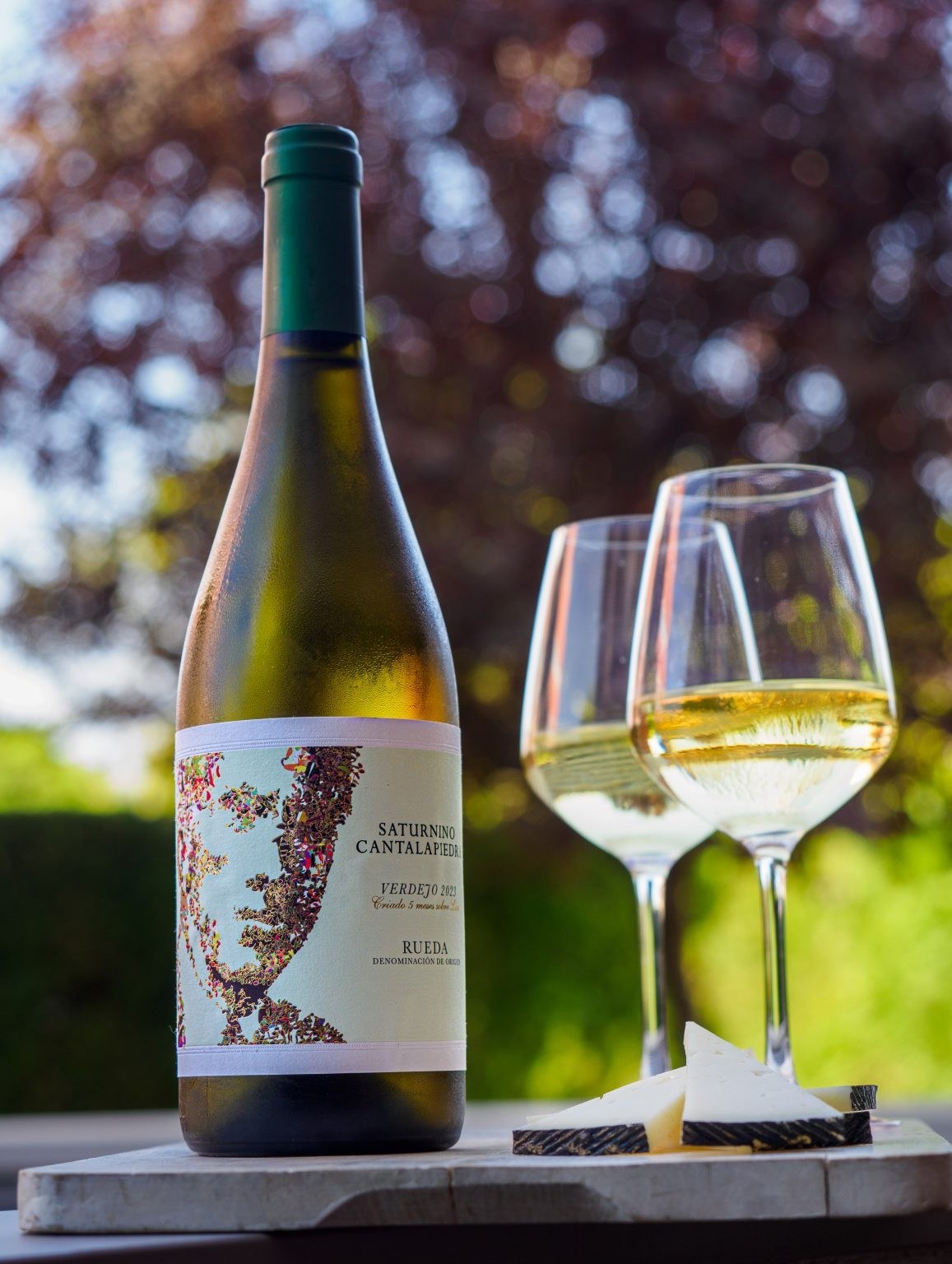 Vino Saturnino Verdejo