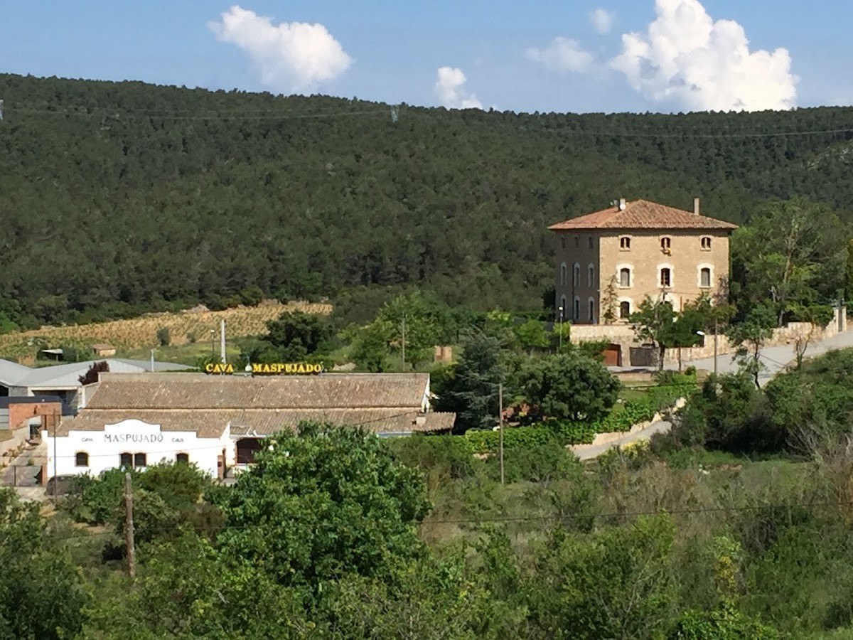 Cava MasPujadó