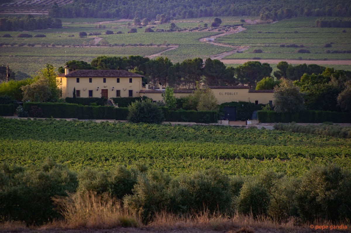 Bodega El Poblet