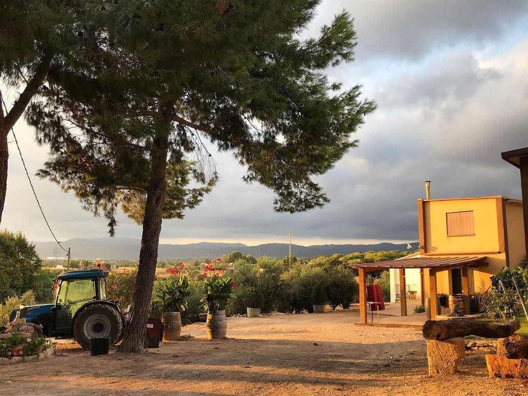 Bodega Finca Mas Perdut