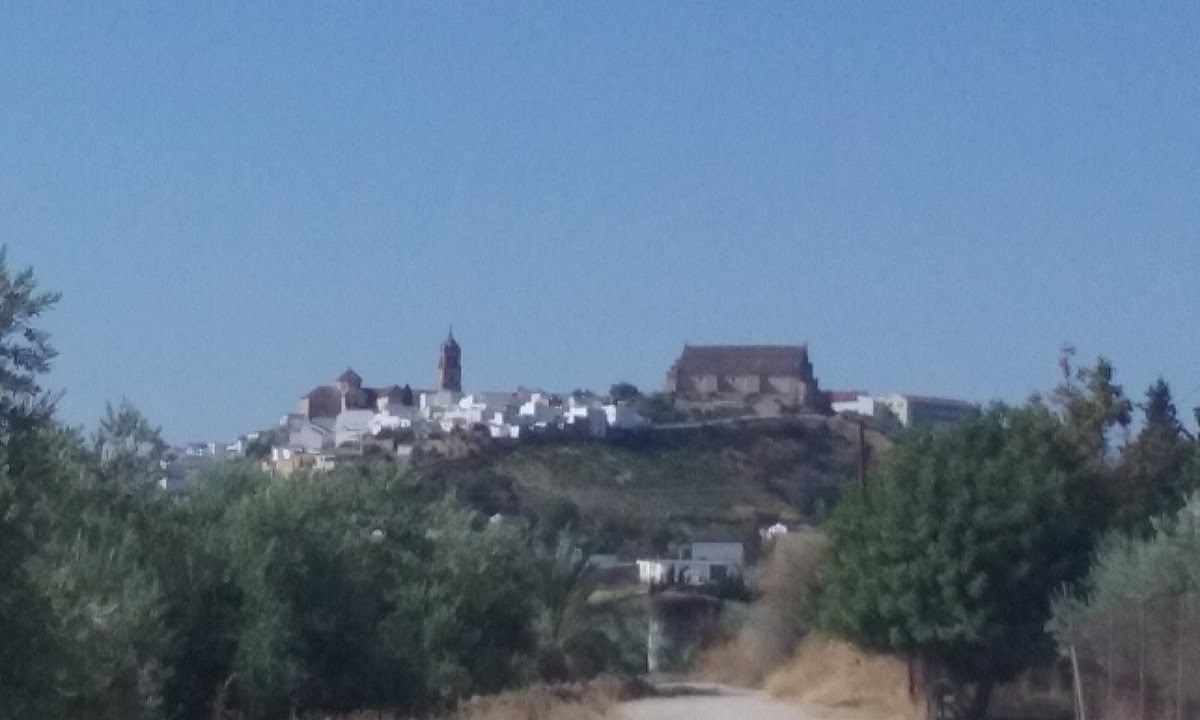 Bodegas vinicolas del sur