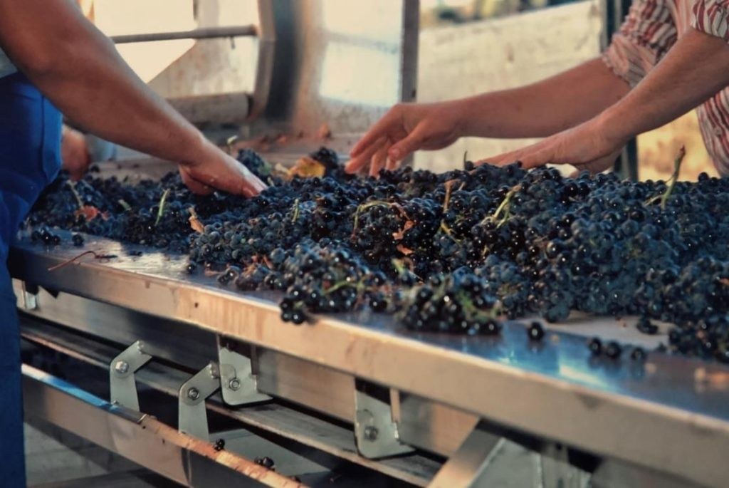 Bodegas Bohórquez