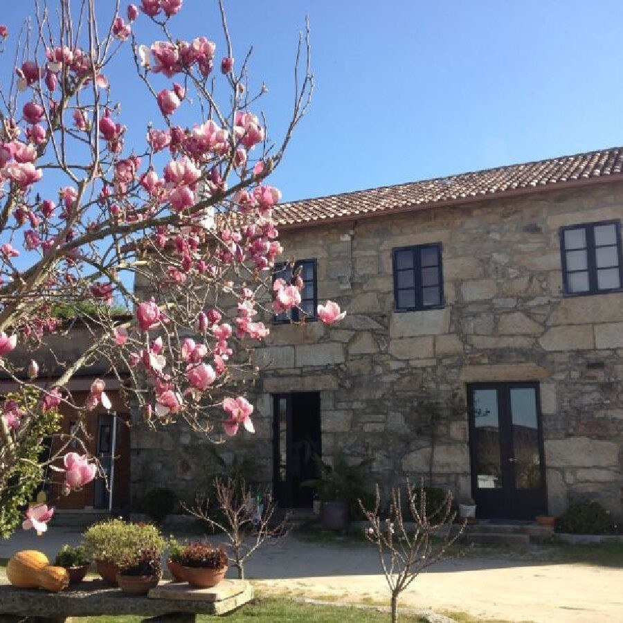 BODEGAS SEIXIDO