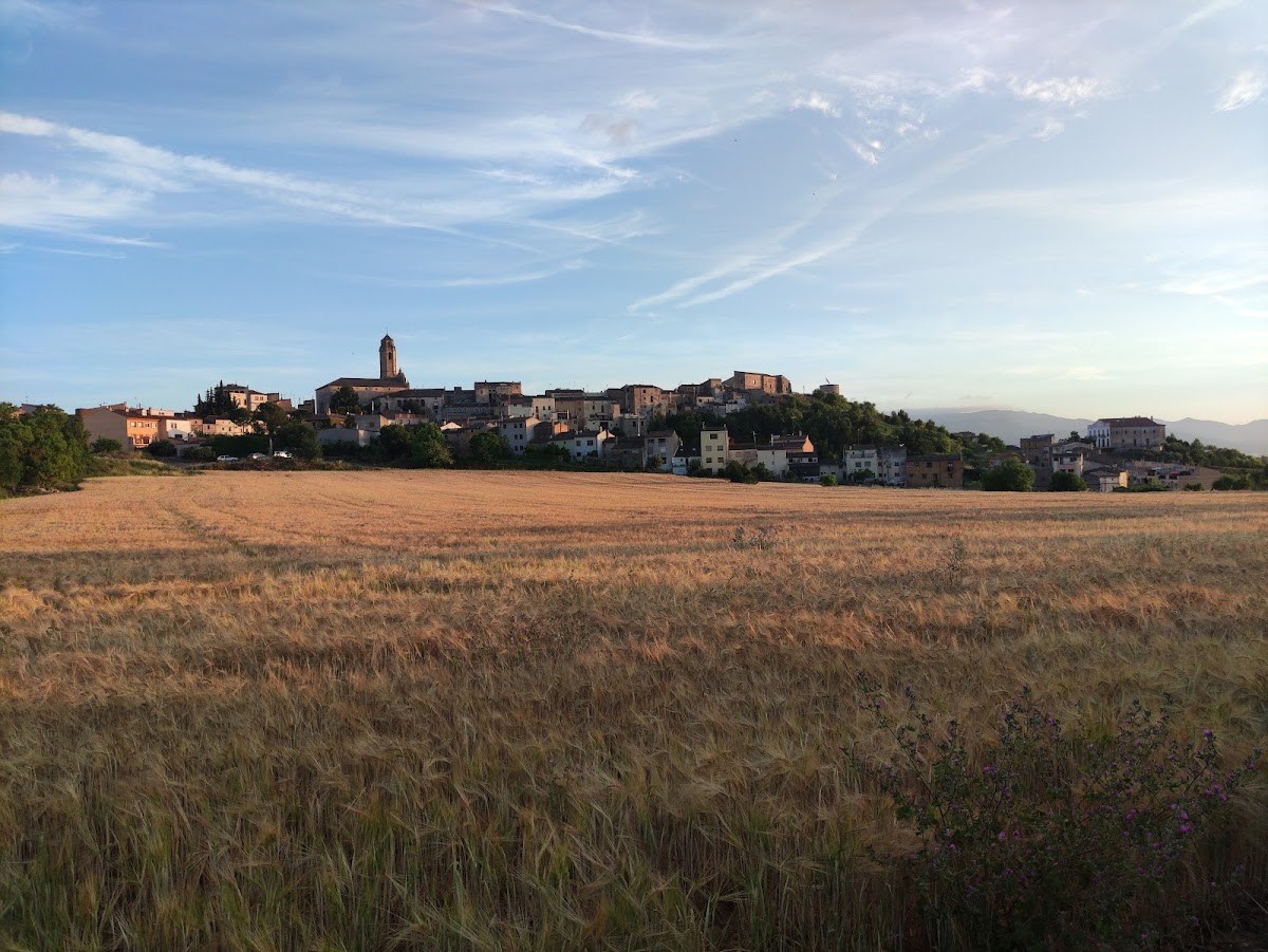 CARLANIA CELLER