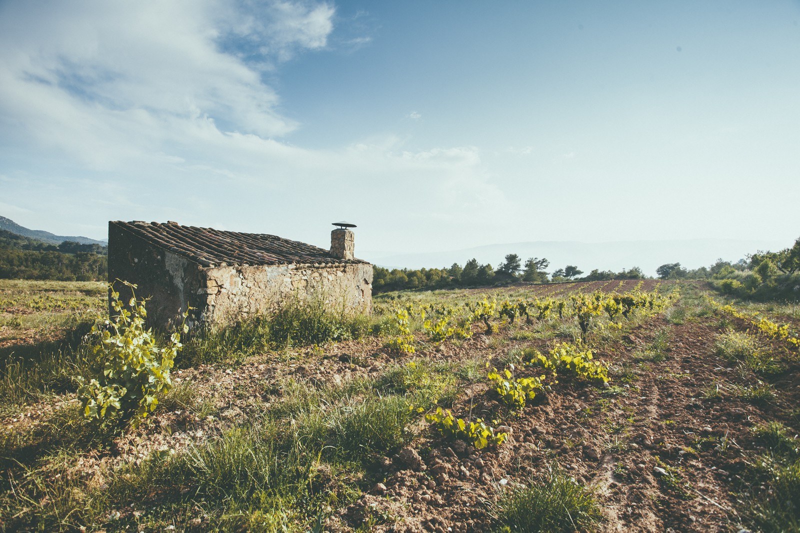 Celler Escoda Sanahuja