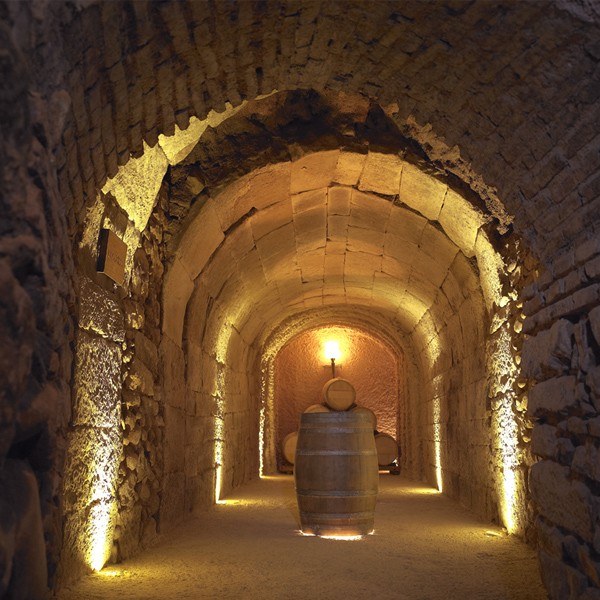 Bodegas Marqués de Arviza