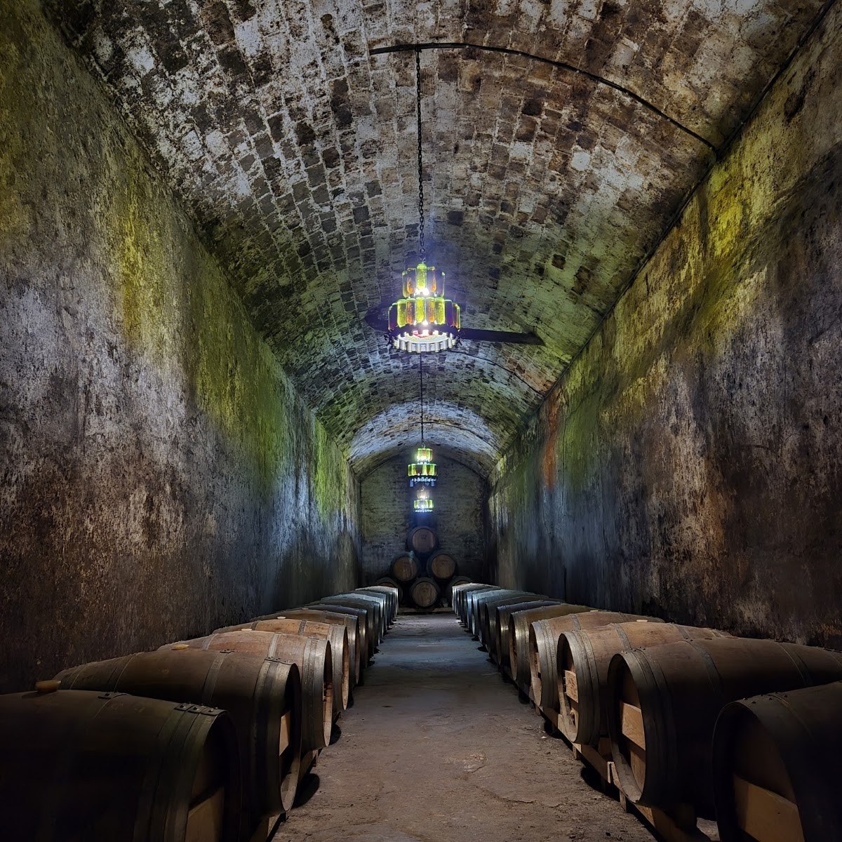 Free Wine Fountain of Bodegas Irache