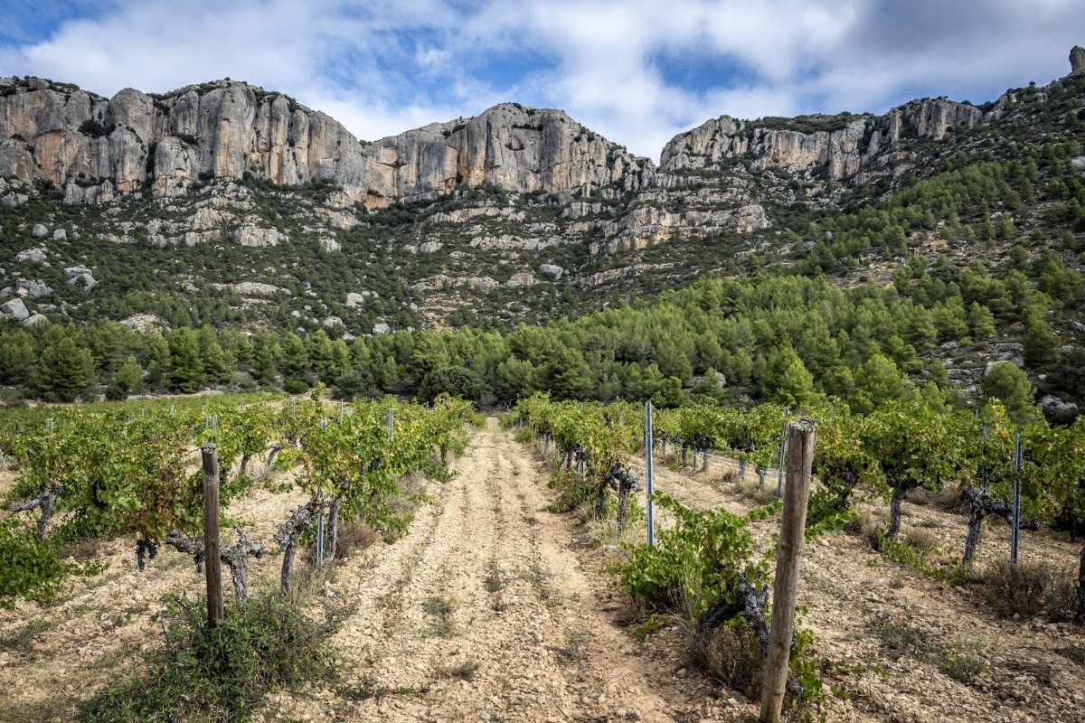 Celler Pasanau