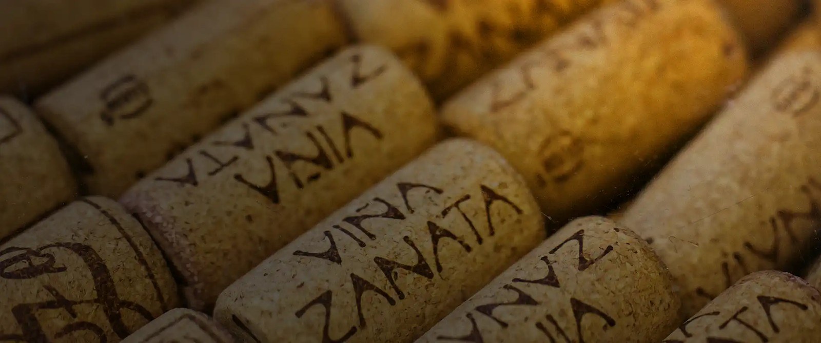 Viña Zanata finca guancha