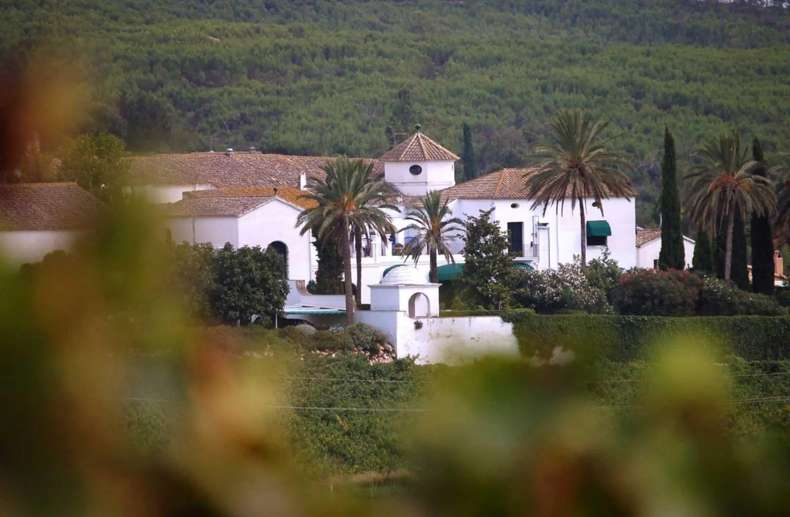 FINCA VILADELLOPS