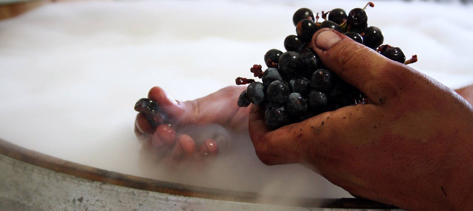 Bodegas Leneus