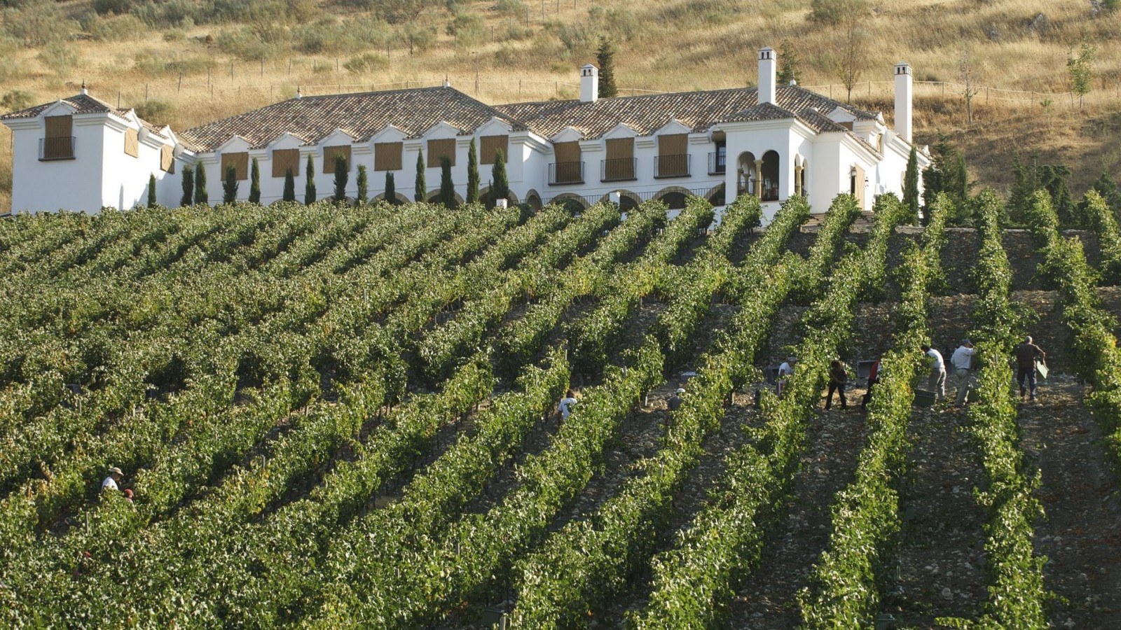 Bodegas Ramos-Paul