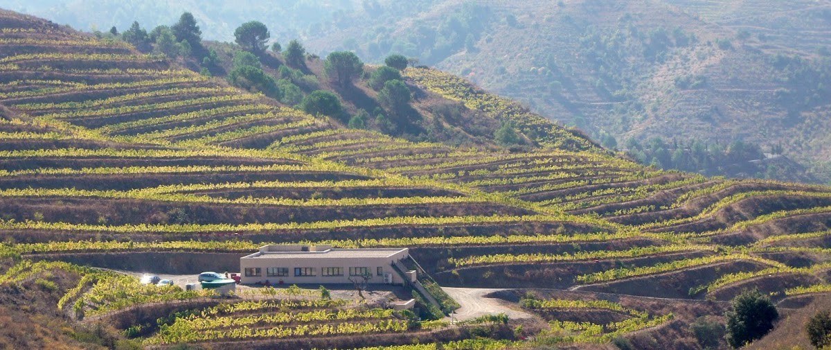 Celler Marco Abella