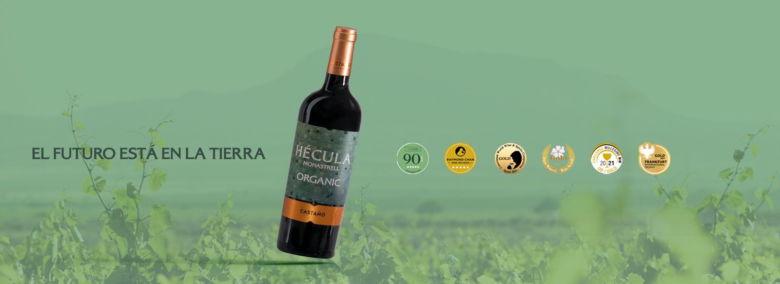 BODEGAS CASTAÑO
