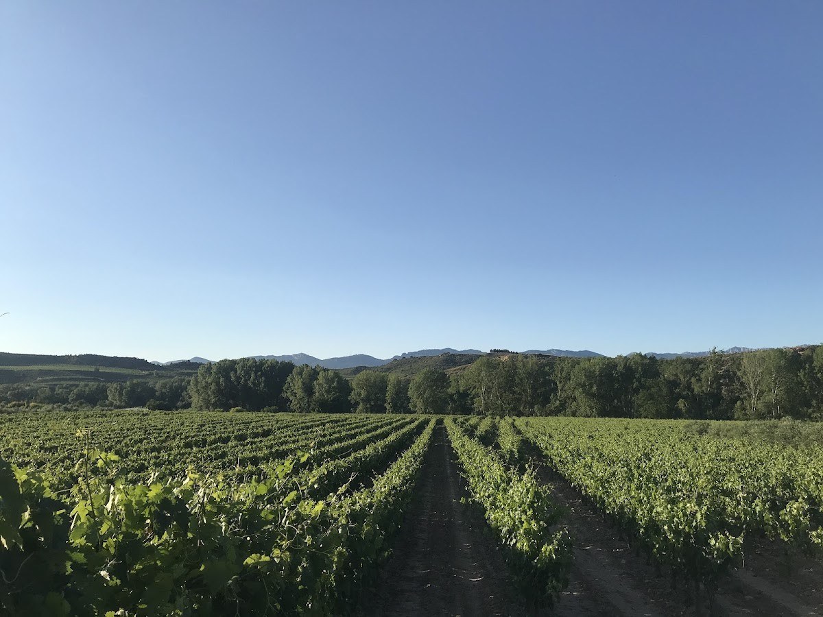 Bodegas Finca Cienvacas-Cenicero Vitícola S.L