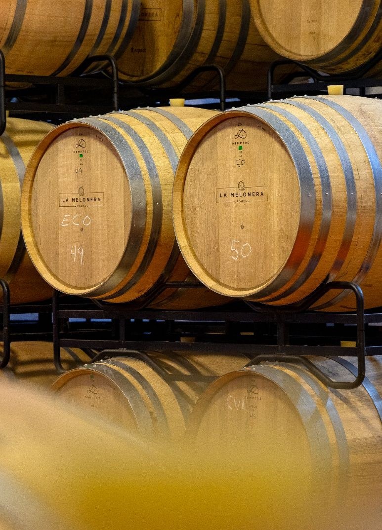 La Melonera | Bodega | Catas & Wine Experience in Ronda
