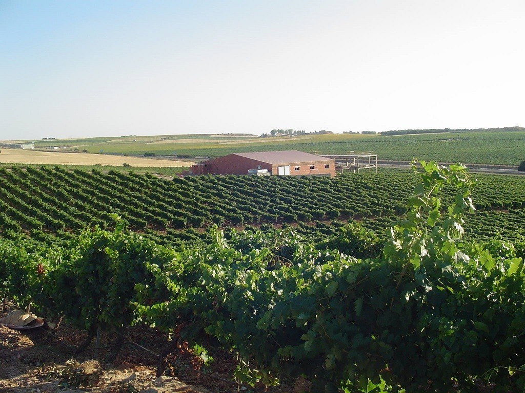Bodega Pago Traslagares S.L.
