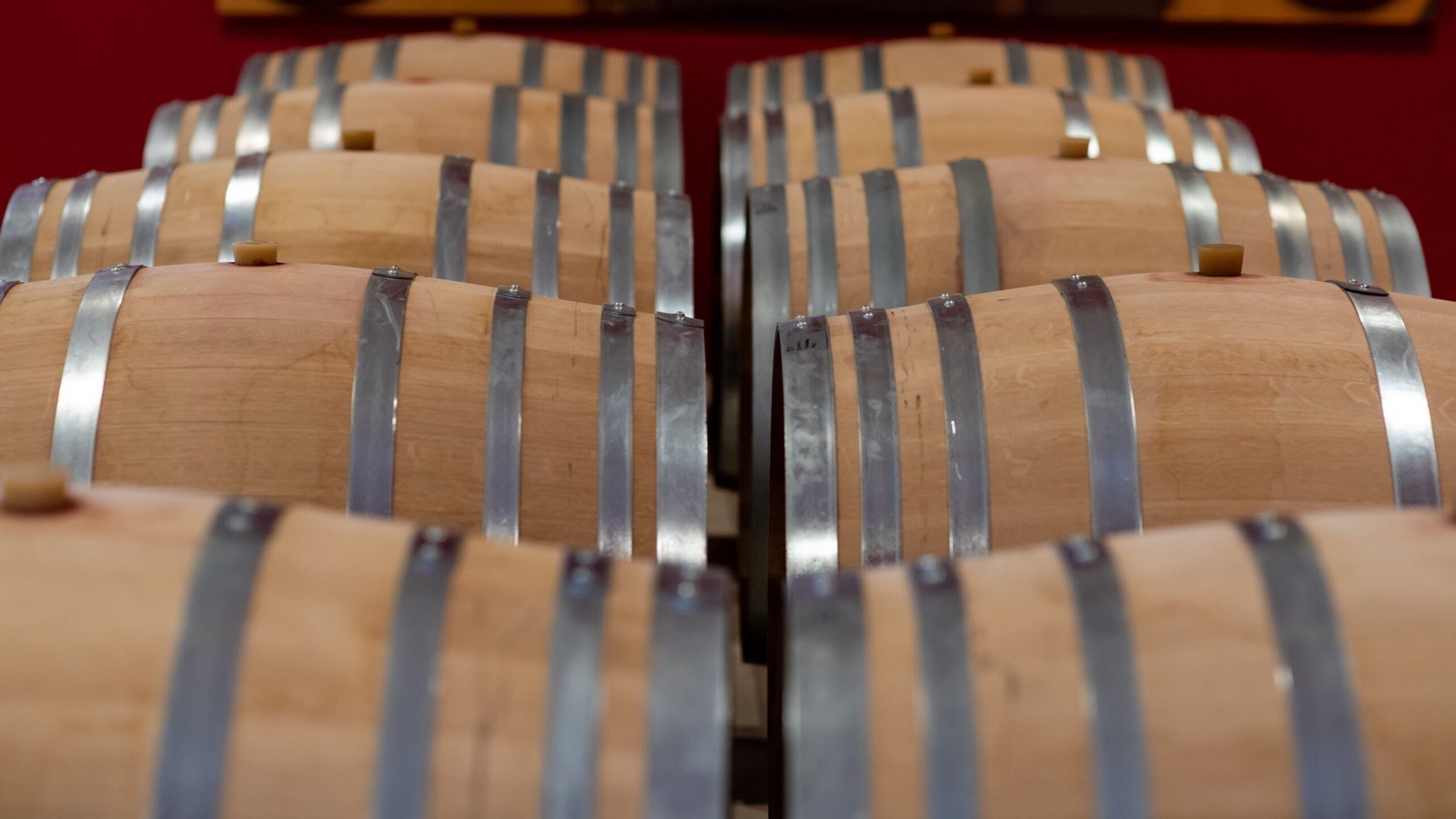 Bodem Bodegas