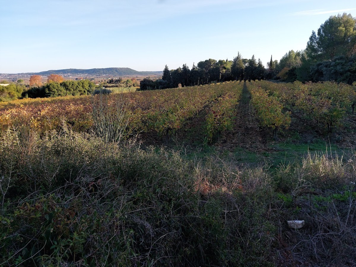 Domaine Mouressipe