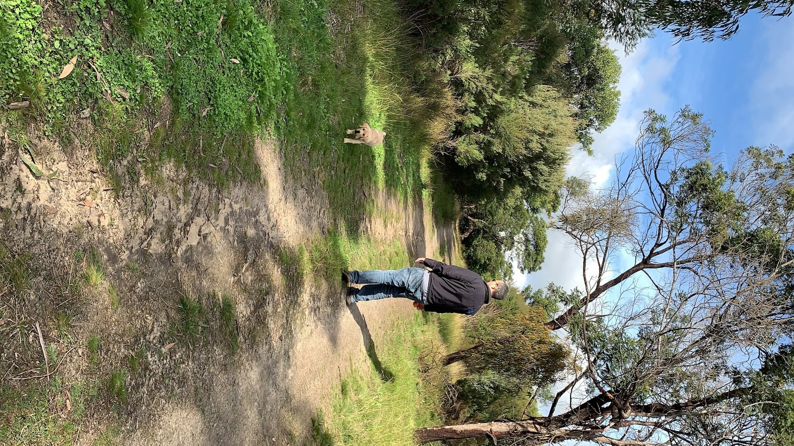 Sunshine Creek