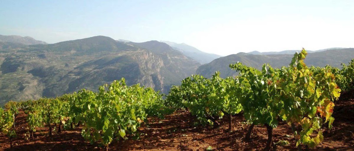 Acheon Winery