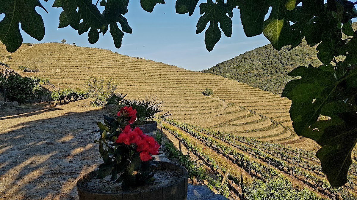 Quinta dos Nogueirões