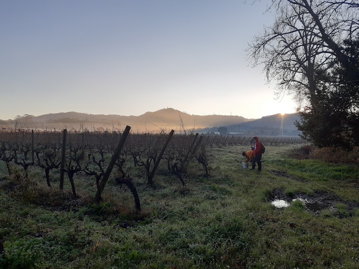 Quinta da Ermegeira