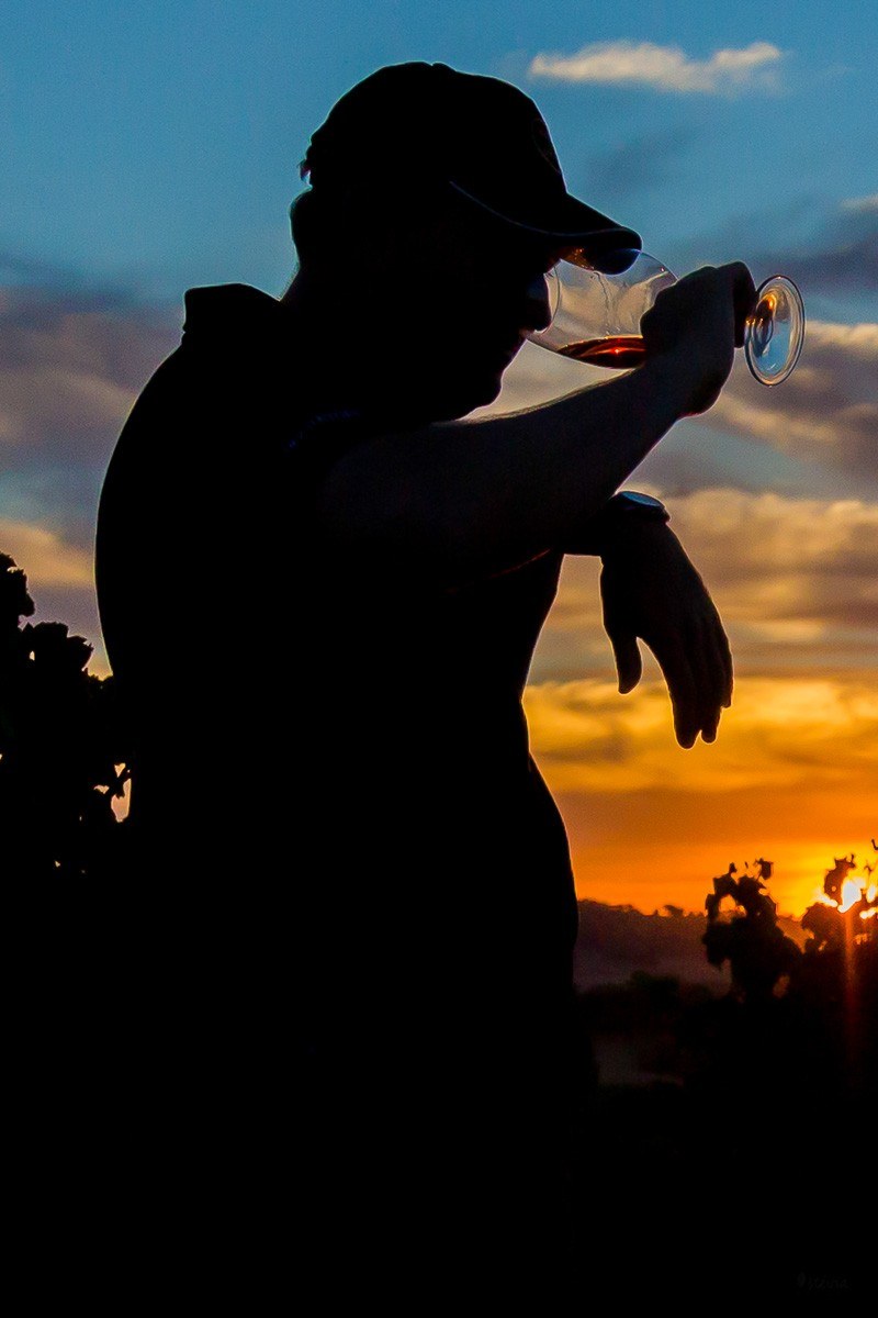 Maroteira Vinhos Lda