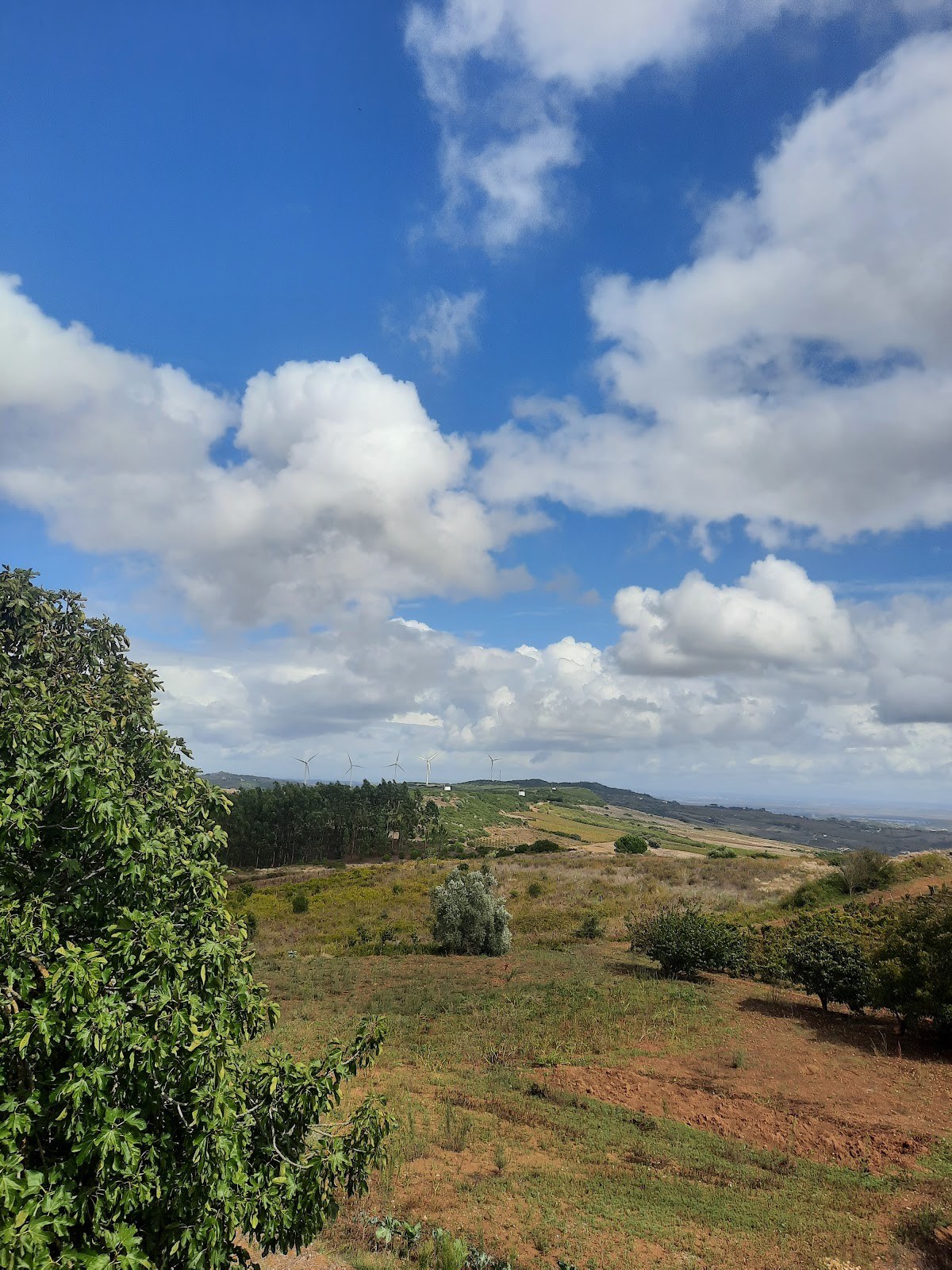 Quinta CNADV