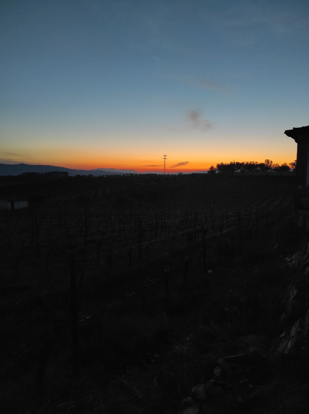 Quinta S.Bento - Vinhos MAPA
