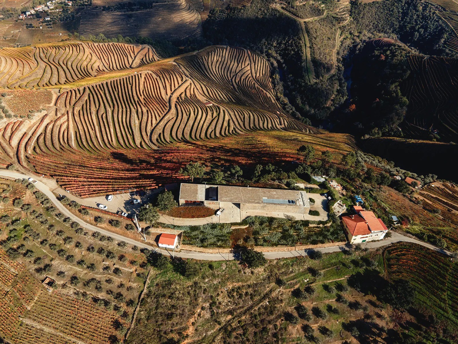 Adega H.O - Horta Osório