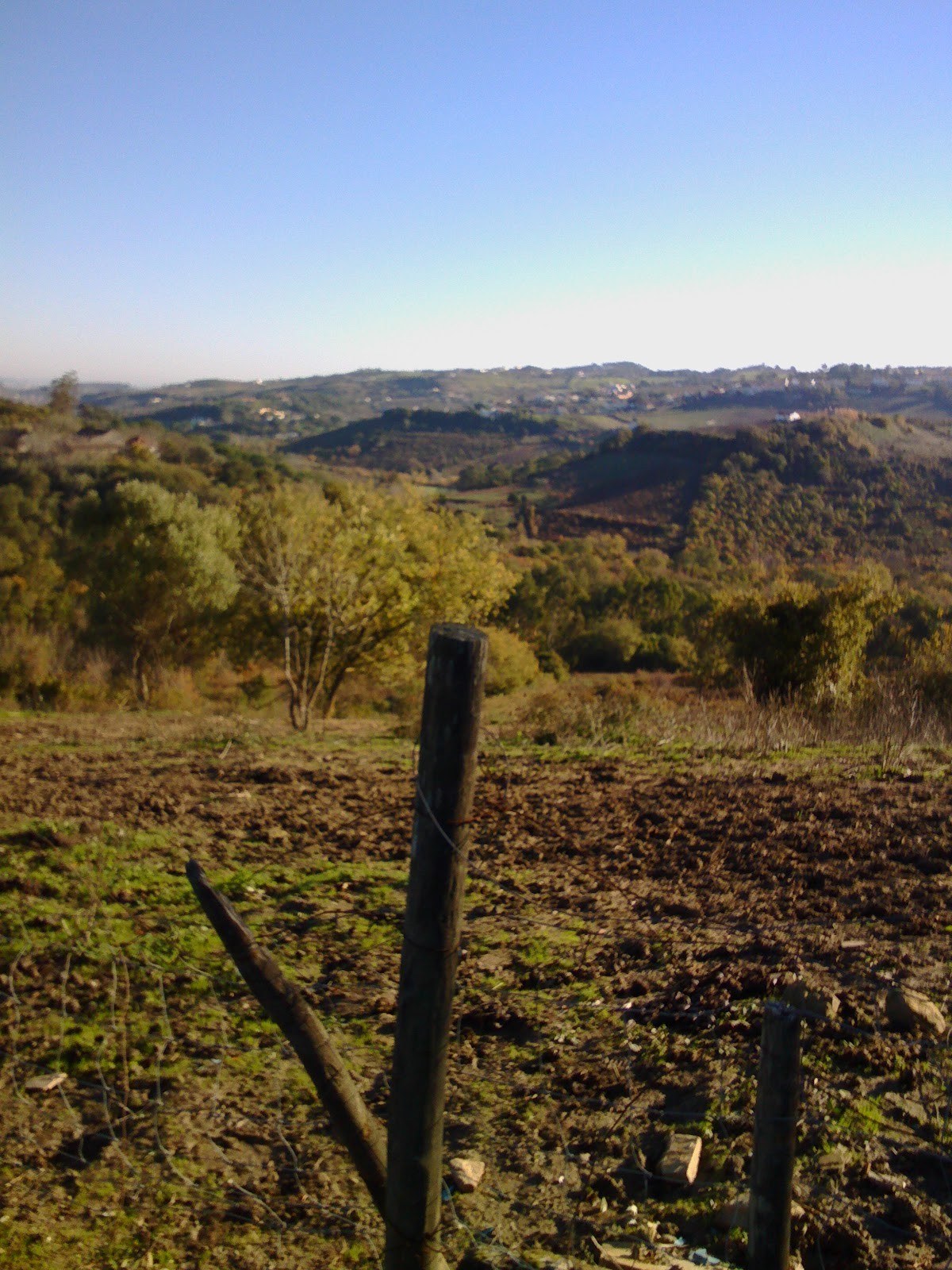 Quinta Dos Pedrogaos