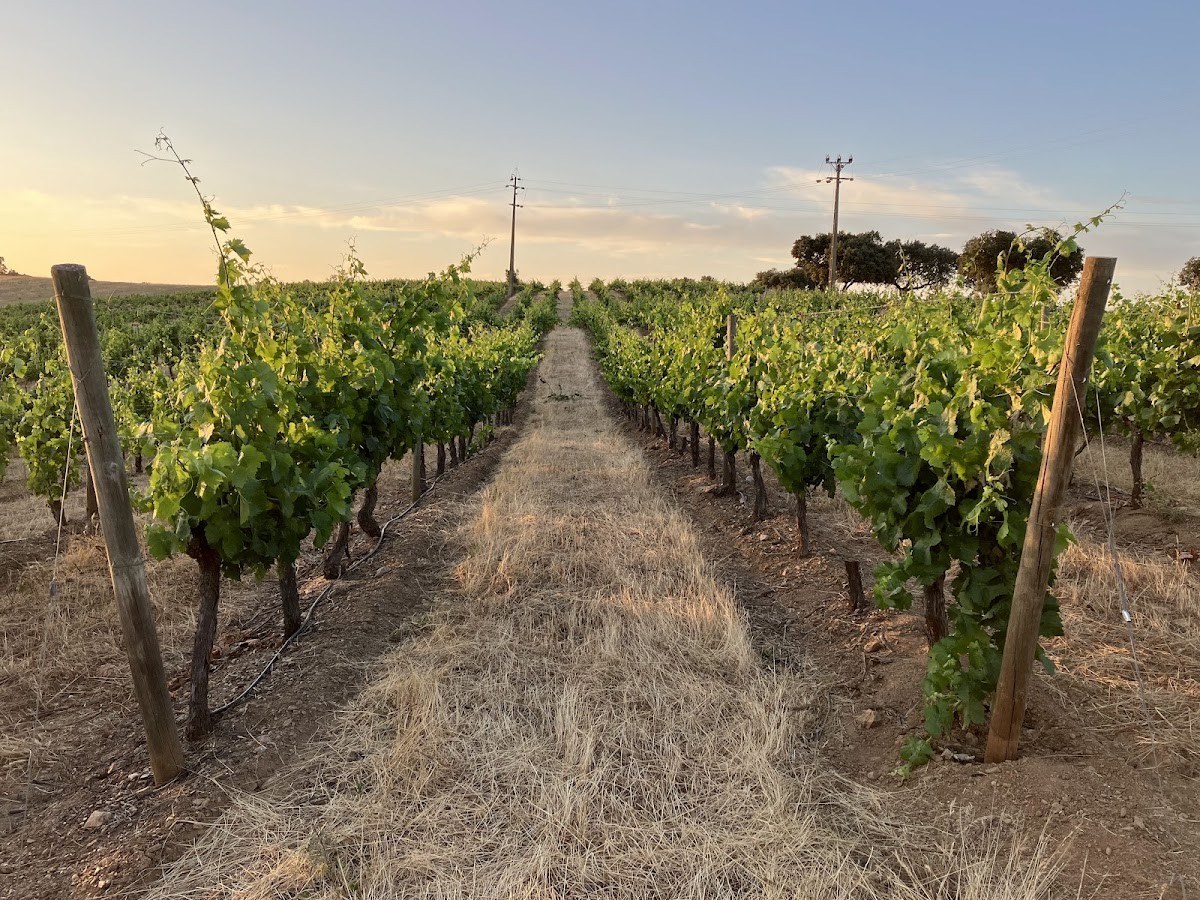 Herdade de São Miguel
