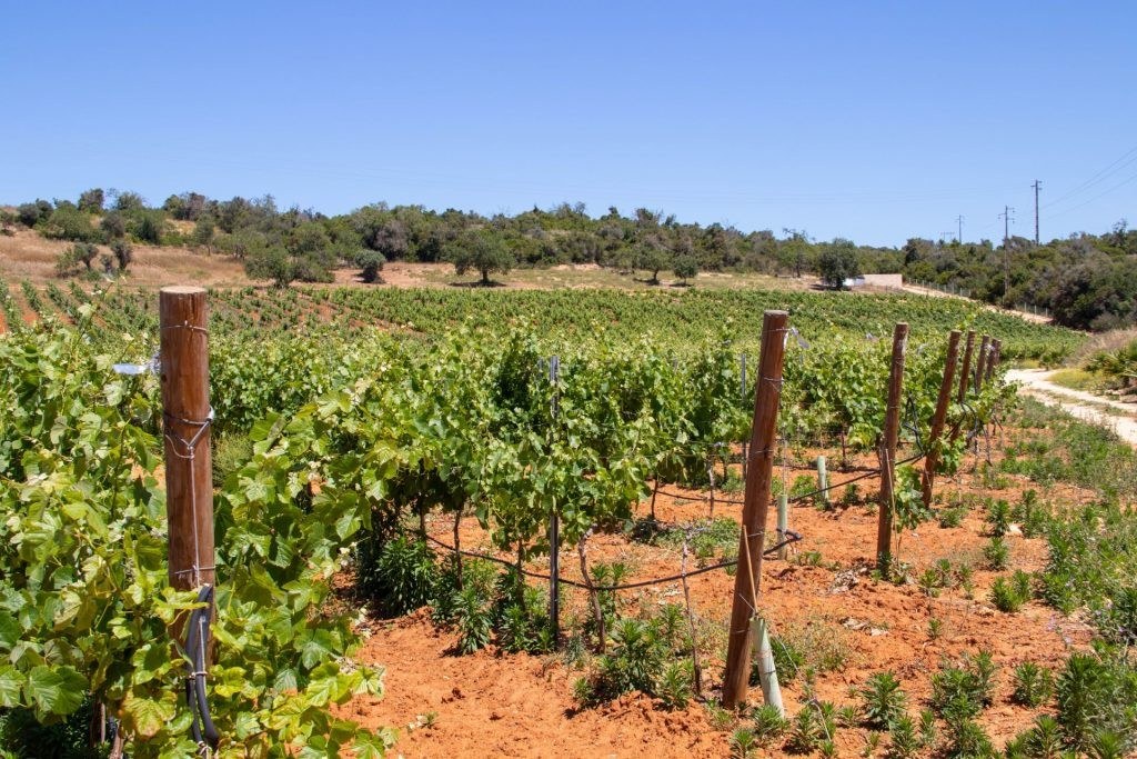 Quinta do Rogel