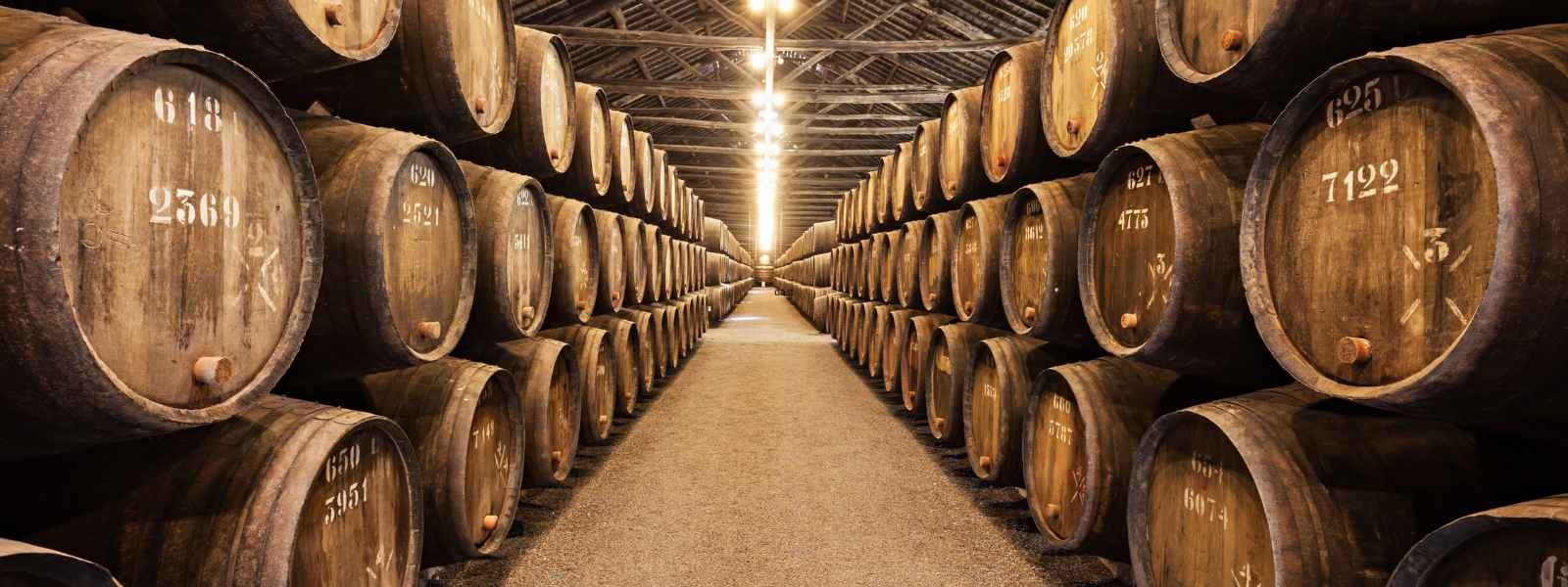 1001 Vinhos