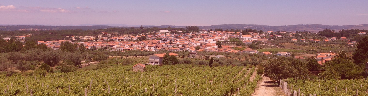 Quinta Da Espinhosa - Alberto De Oliveira Pinto