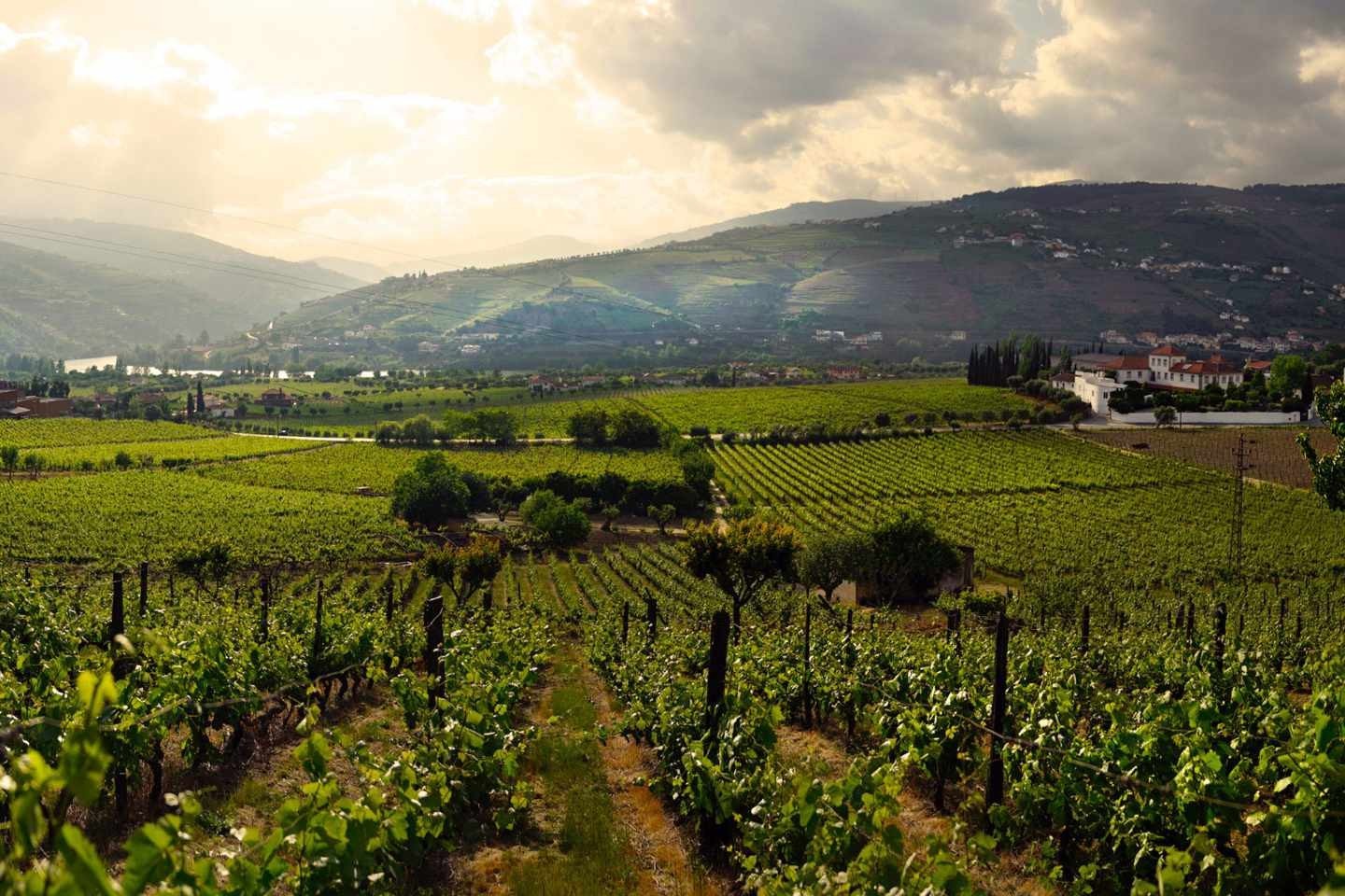 Quinta de Tourais