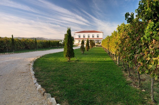 QUINTA DO LAGAR NOVO