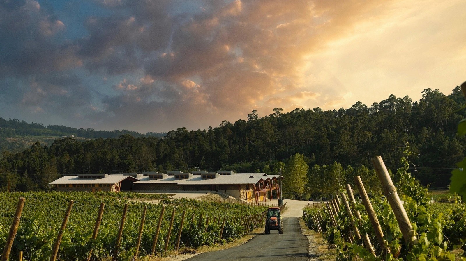 Quinta Da Taboadella