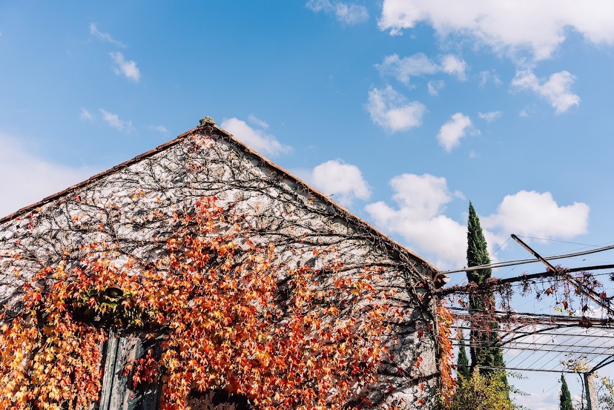 Quinta do Ameal - Wine & Tourism Terroir