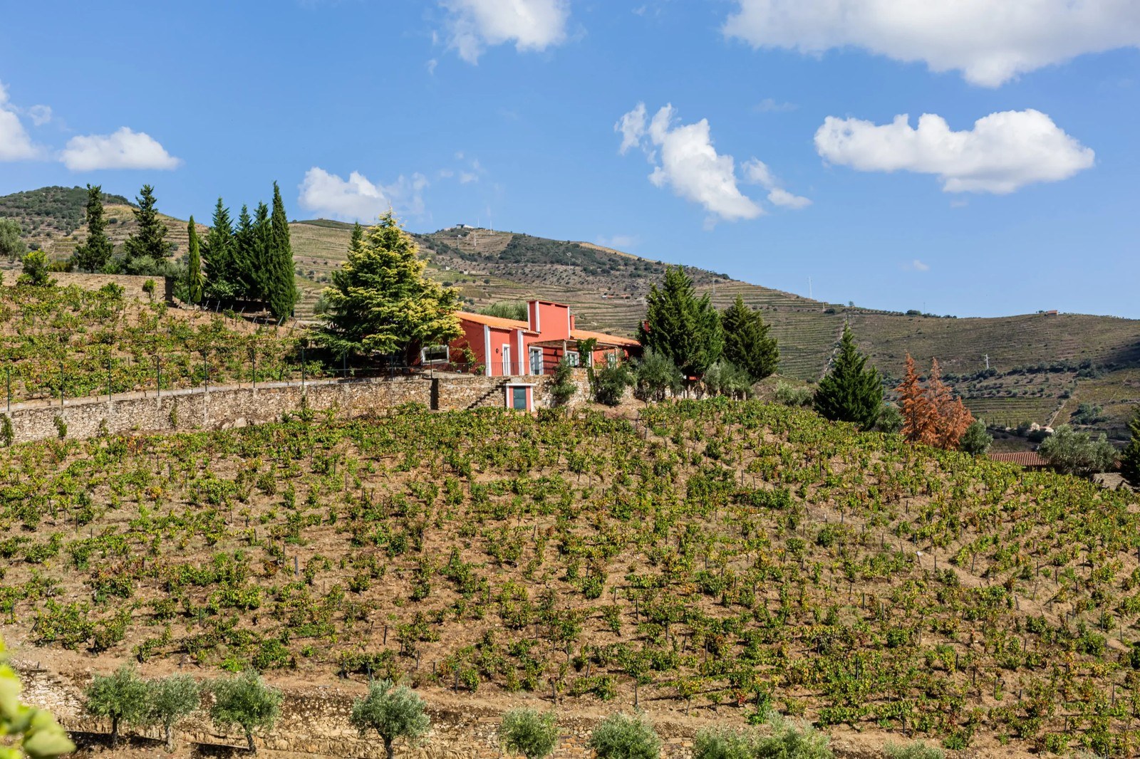 Quinta Vale Dona Maria