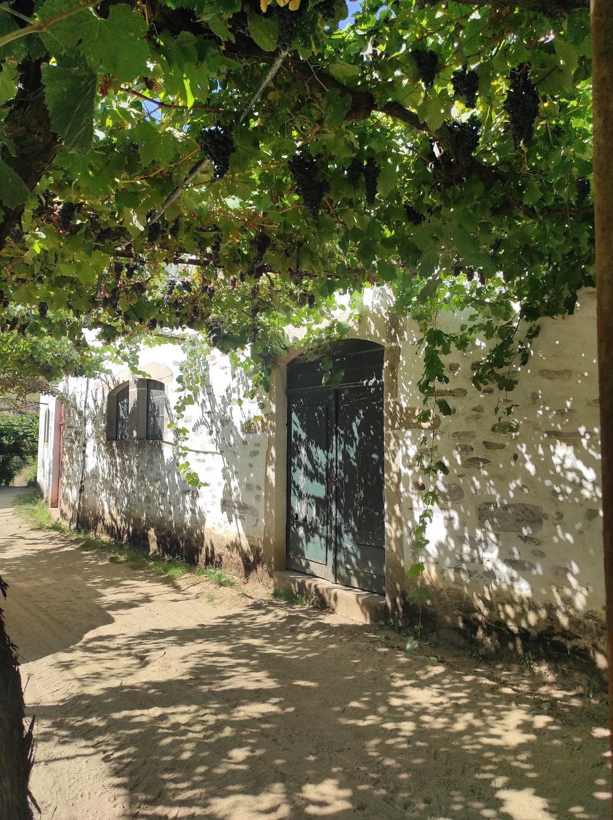 Quinta do Vilar