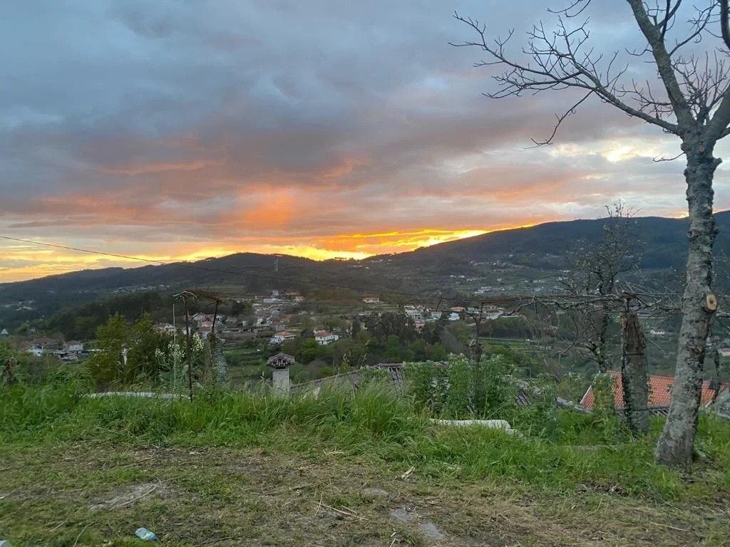 Quinta do Espigueiro Grande - Sociedade Agrícola e Comercial, Lda