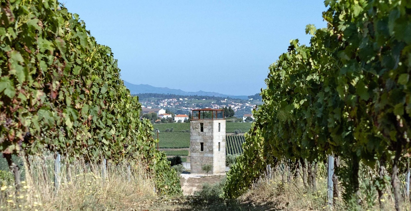 Quinta da Alameda | Puros Vinhos do Dão