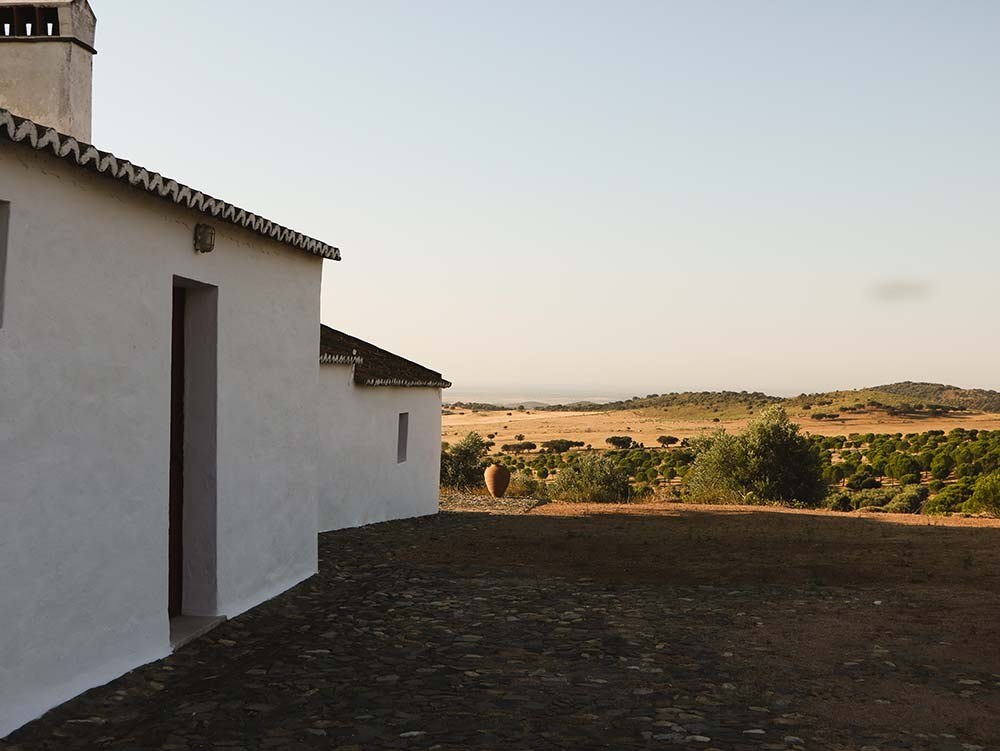 Azamor Wines