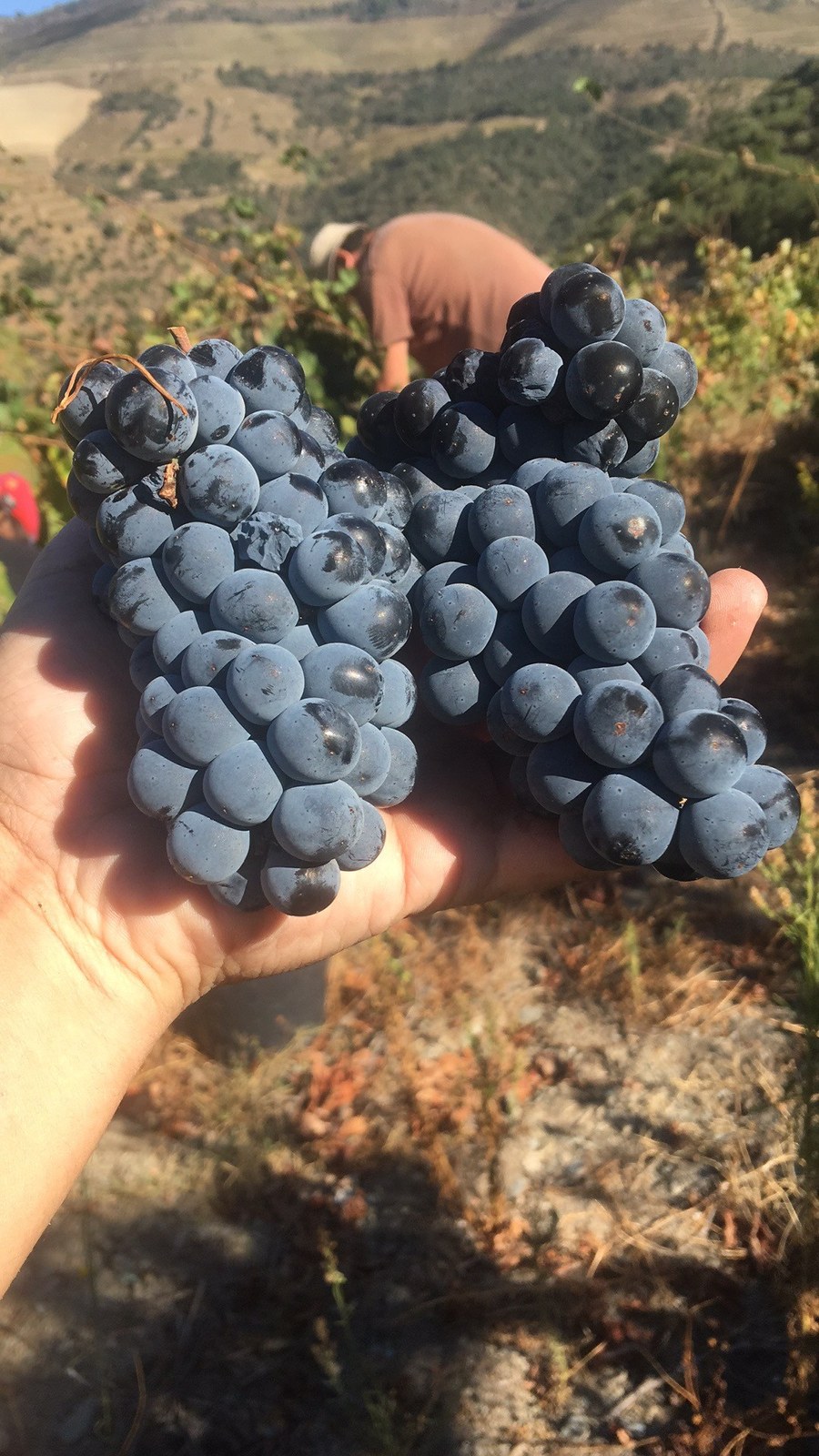Quinta da Deserta