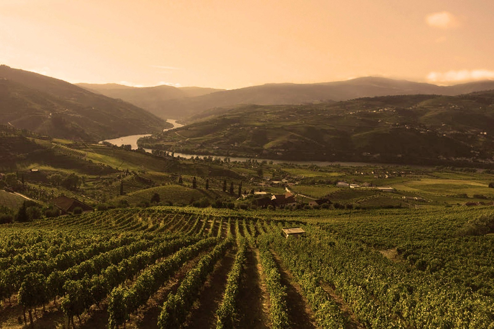Quinta da Bela Sociedade Vitivinicola, Lda